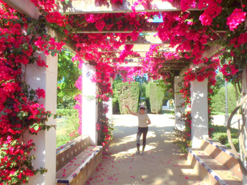 Bougainvillea y Terry.